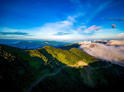 森林大世界图片大全 收录山、野趣与光